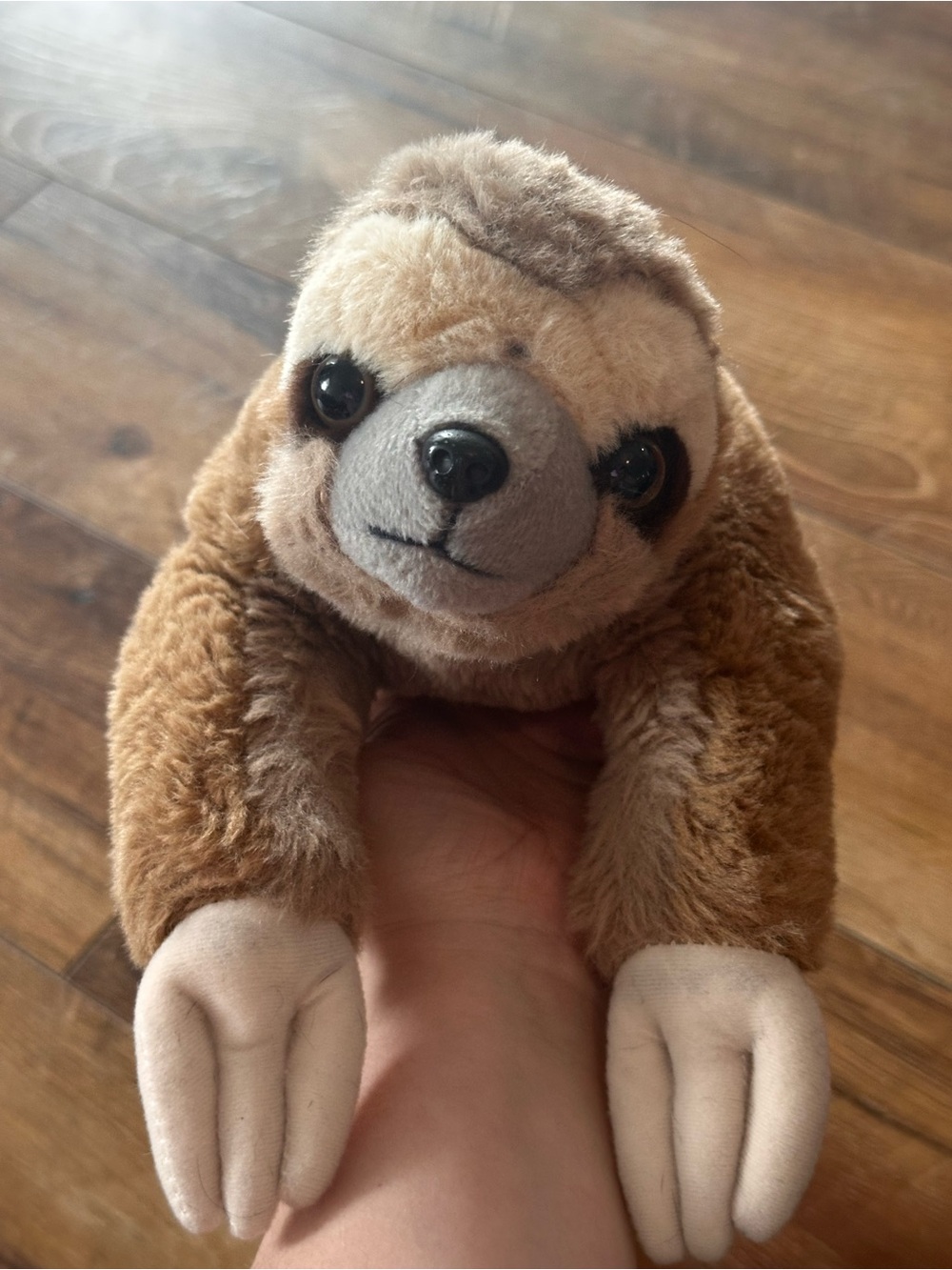 Schwartz sloth stuffie